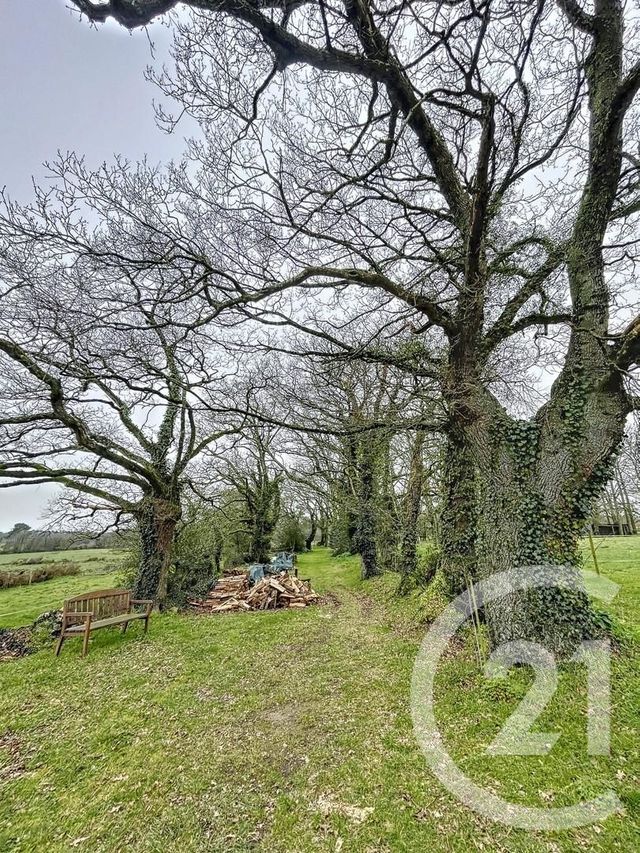 maison à vendre - 18 pièces - 366.0 m2 - VANNES - 56 - BRETAGNE - Century 21 Tex'Immo