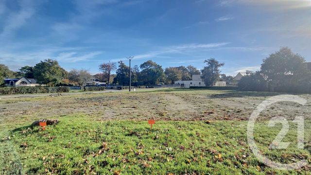 terrain - LA TRINITE SURZUR - 56