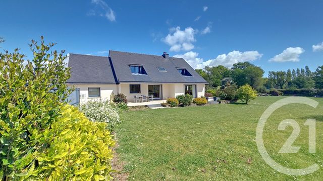 maison - SURZUR - 56